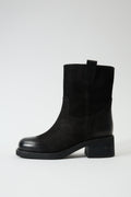 Aurelia Black