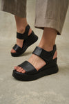Lonza Outlet
