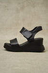 Lonza Outlet