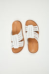 Lonza Outlet