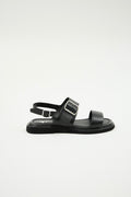 Delfina Black