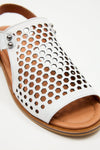 Lonza Outlet