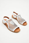 Lonza Outlet