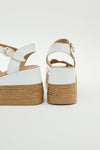Lonza Outlet