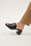 Paloma Black