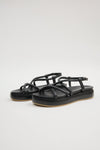 Lonza Outlet